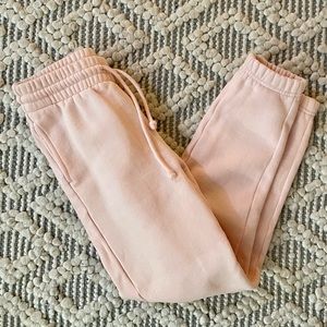 Aritzia TNA Cozy fleece boyfriend sweatpants